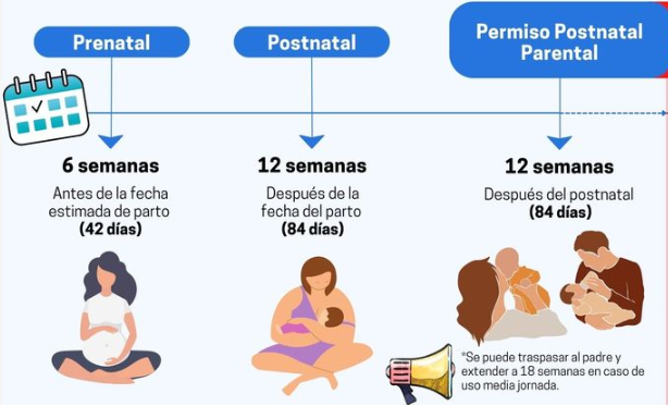 ¿Cómo funciona el Prenatal y Postnatal?